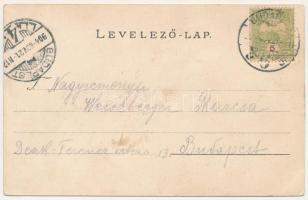 1904 Budapest IX. Zwack József és Társai cs. és kir. udvari szállítók likőrgyára. Soroksári út, Dand...