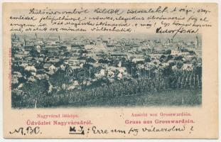 1904 Nagyvárad, Oradea; látkép, szőlő. Helyfi László kiadása / general view, vineyards (fa)