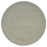 1986. "F1 Hungaroring" emlékérem-tervezet gipsz hátlapi NEGATÍV nagyminta (160mm) T:AU Hungary 1986. "F1 Hungaroring" medallion plan reverse NEGATIVE large plaster sample (160mm) C:AU
