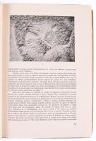 Csernyánszky, Marie Les Tapisseries Medicis - Medici kárpitok.



(Bp.), (1948). (KMENy). 27+(1)...