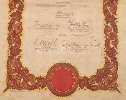 1940 Légoltalmi munkaszolgálat egészségügyi igazolvány Vöröskereszt oklevél sérült 24x41 cm