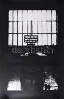 1981 Váli Dezső kiállítása, Műcsarnok, ofszet, papír. Feltekerve. 58×81,5 cm