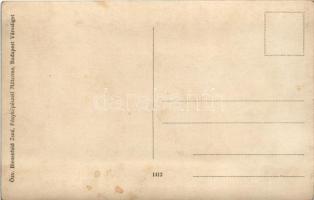 Budapest XIV. Városliget, férfi társaság a kertben. Özv. Bienenfeld Zsné fényképészeti műterme. phot...