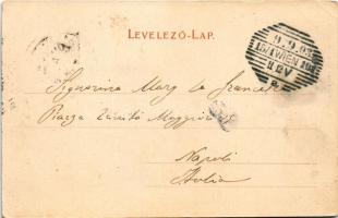 1903 Herkulesfürdő, Baile Herculane; fürdő látképe. R. Krizsány kiadása / spa (EK)