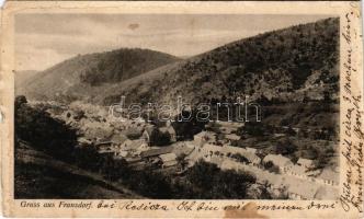 1904 Ferencfalva, Franzdorf, Valiug (Resicabánya, Resita); látkép / general view (b)