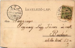 1903 Lillafüred (Miskolc), nyaralótelep, villák. Lövy József fia kiadása 770. (vágott / cut)