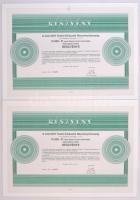 1991 Budapest "COLORIT Festő-Kikészítő Részvénytársaság" részvénye 10.000Ft-ról, szelvényekkel (25x) sorszámkövetők T:I-