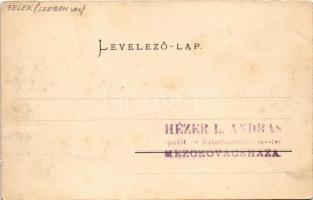 1904 Felek, Freck, Avrig; Schlosspark / Brukenthal kastély parkja. Albert Kisch kiadása / castle par...