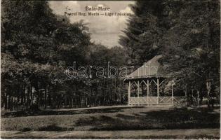 1940 Nagybánya, Baia Mare; Ligeti részlet. Frankovits A. kiadása / park / Parcul Regina Maria (EK)