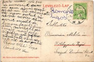 1914 Lugos, Lugoj; Eötvös tér, Veres-féle Sas gyógyszertár, piac, Grünberger Ede üzlete, Szidon Józs...