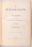 Keller Konrád: A tenger élete. Bp., 1897, Kir. M. Természettudományi Társulat, XV+699+5 p.+ X (kromolitográfiák) t. Szövegközti fekete-fehér illusztrációkkal, és színes, litografált képtáblákkal. Kiadói aranyozott egészvászon kötés, márványozott lapélekkel, kopott, kissé borítóval, foltos lapokkal.