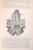 Keller Konrád: A tenger élete. Bp., 1897, Kir. M. Természettudományi Társulat, XV+699+5 p.+ X (kromo...