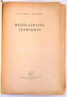 Hajas József - Rázsó Imre: Mezőgazdaság számokban. Bp., 1955, Mezőgazdasági Kiadó, 751+1 p. Kiadói kopott, foltos félvászon-kötésben, laza fűzéssel, kijáró lapokkal.