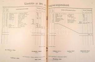 A Zion Debreceni Betegsegélyező Egytlet választmányának jelentése és zárszámadása az 1899. évről. 12...