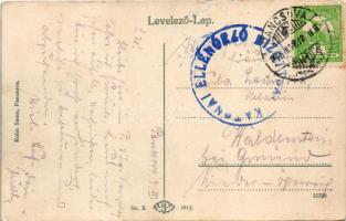 1915 Pancsova, Pancevo; Temes részlet. Kohn Samu kiadása / Temesteil / river Temes + "Katonai E...