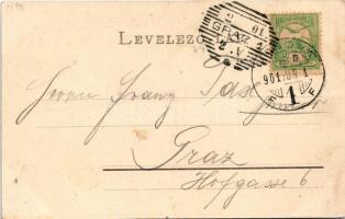 1901 Orsova, Demir Kapu (Macedónia), látkép, gőzhajó. Raichl Sándor junior kiadása / Eisernes Thor /...