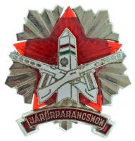 1960 k. "Határőrség - Járőrparancsnok" ezüstözött, részben műanyag, tűzzománcos bronz szolgálati jelvény eredeti rögzítőpántokkal T:XF