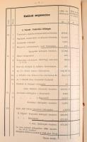 1900 Az Ecsedi-Láp lecsapoló és Szamos-balparti ármentesítő és belvízszabályozó társulat zárszámadás...