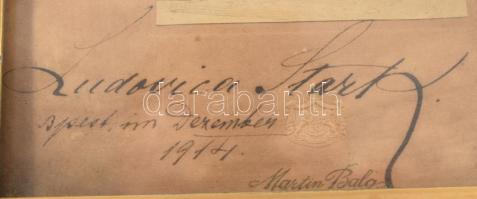 1914 Stark Ludovikaénekesnő dedikált fotója, üvegezett keretben 20x28 cm Keret sérült