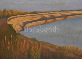 Basch Edit (1895-1980): Folyópart. Olaj, vászon, jelzés nélkül. Hátoldalán Új Magyar Képtár raglapjá...