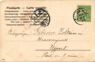 1908 Prosit le nouvelle année! / New Year greeting art postcard, lady with champagne. litho (EK)