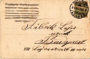 1904 Boldog Újévet! / New Year greeting art postcard, lady riding on a pig. Art Nouveau, litho s: He...