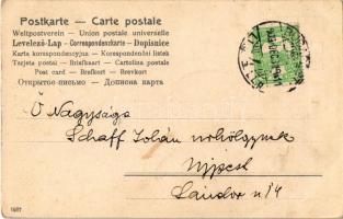 1909 Un bon nouvel an! / New Year greeting art postcard, lady with pigs. Art Nouveau, litho (EB)