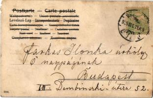 1905 Boldog Újévet / New Year greeting art postcard, lady with mushrooms. litho (b)