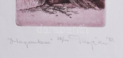 Kiss Péter (1957-): "Magamban", 1991. Színes rézkarc, papír, jelzett. Hátoldalán Képcsarno...