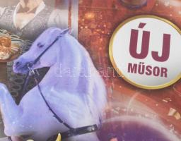 Magyar nemzeti cirkuszi plakát 60x41 cm