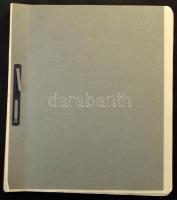 Magyar gyűjtemény az 1871-1944 közötti időszakból albumlapokon, benne 1900-as Turul sor, Búzakalász,...