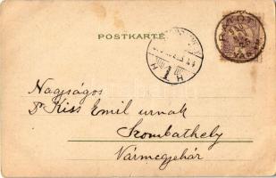 1900 Hölgy macskával / Lady with cat. litho (EB)