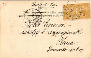 1900 Hölgy rokkával / Lady with spinning wheel. litho (EK)