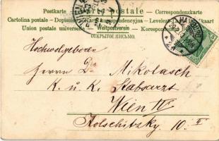 1903 Jégkorcsolyázó hölgy / Ice skating lady, winter sport. litho (EK)