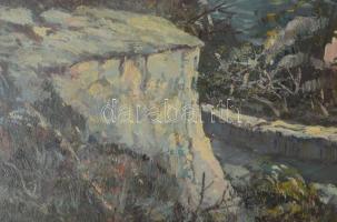 Olvashatatlan jelzéssel, XX. sz. második fele: Vízparti táj hajókkal. Olaj, vászon. Dekoratív, üvege...