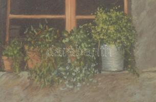 Olvashatatlan jelzéssel, XX. sz. második fele, 2 db mű: Udvarrészletek. Olaj, fa. Dekoratív, üvegeze...