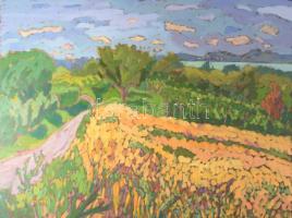 Mártonfi Benke Márta (1958-): Balaton búzamezővel, 2016. Olaj, farost, jelzett. Hátoldalán autográf felirattal. 60x80 cm