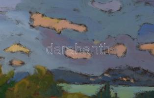 Mártonfi Benke Márta (1958-): Balaton búzamezővel, 2016. Olaj, farost, jelzett. Hátoldalán autográf ...