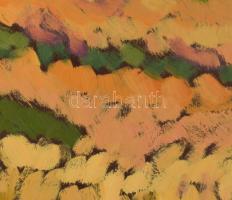 Mártonfi Benke Márta (1958-): Balaton búzamezővel, 2016. Olaj, farost, jelzett. Hátoldalán autográf ...