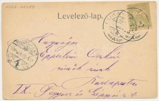 1904 Lukanénye, L. Nénye, Nenince; Majthényi kastély. Darvai Ármin kiadása. Luka Lajos levele Epperl...