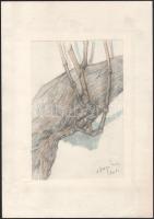 A. Varga Imre (1953-): Szőlőtőke, 2012. Ceruza, papír, jelzett, paszpartuban, 24×16 cm
