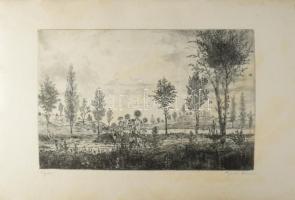 Gross Arnold (1929-): Nyár. Rézkarc, papír, jelzett, kartonra kasírozva, kissé foltos, 23×34 cm