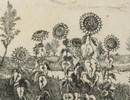 Gross Arnold (1929-): Nyár. Rézkarc, papír, jelzett, kartonra kasírozva, kissé foltos, 23×34 cm