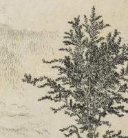 Gross Arnold (1929-): Nyár. Rézkarc, papír, jelzett, kartonra kasírozva, kissé foltos, 23×34 cm