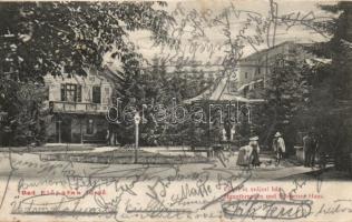 Előpatak spa with Swiss house