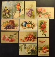 Catharina Klein grafikai képeslapok 190 darabos gyűjteménye közte virágok, gyümölcsök, madarak, csendéletek stb. Évtizedes gyűjtői munka eredménye!