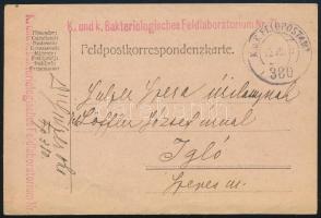 1917 Tábori posta levelezőlap / Field postcard "K. und k. Bakteriologisches Feldlaboratorium Nr. 71." + "FP 380"