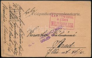 1917 Tábori posta levelezőlap / Field postcard "K.u.k. EPIDEMIESPITAL IN BRSADIN"