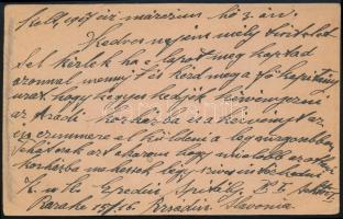 1917 Tábori posta levelezőlap / Field postcard "K.u.k. EPIDEMIESPITAL IN BRSADIN"