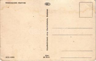 Érsekcsanád, részletek. Képzőművészeti Alap (fl)